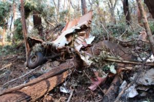 Image of small plane wreckage in the woods, charred twisted metal amidst downed trees